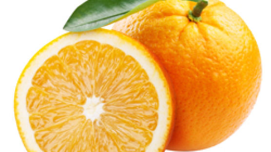 중국발 '오렌지 대란' 현실화하나…국내 식탁 가격 우려