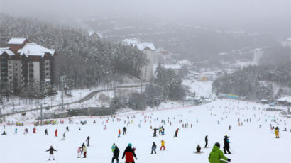 끝물 시즌권 사면 봄까지 스키 즐긴다 