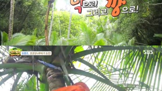 윤세아 코코넛, "도마뱀 누나" 극찬…홀로 코코넛 따기 성공