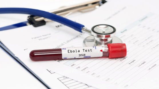 에볼라 대응 '마지막 구호대' 출국