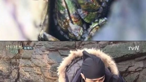 차승원, 거북손 보고 흥분한 사연…특징 보니 간 회복에 탁월하다? ‘오호라’