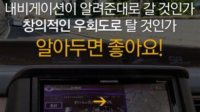 [멀티뉴스] 설 귀성길, 내비게이션 vs 우회도로