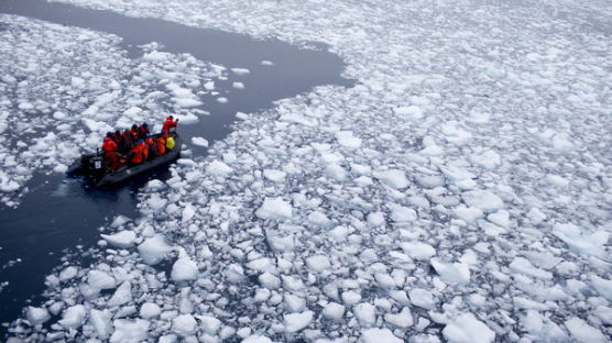 [사진] 남극 온난화 '심각'한 수준