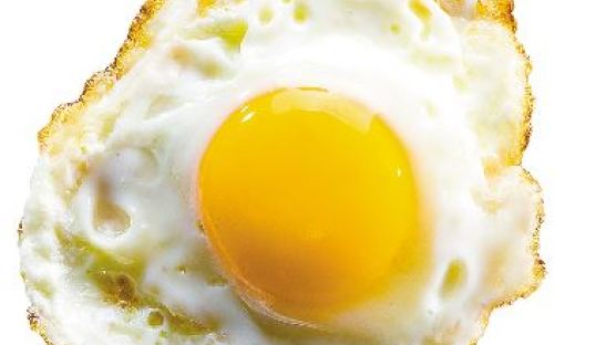 달걀이 학생에게 좋은 이유, 우리 아이 건강에 효과 만점? 효과보니… '대박'