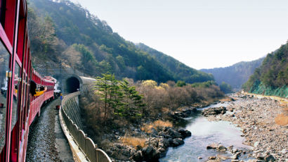 주말에 가볼만한 곳, 한국관광공사가 선정한 3월 여행지 5곳