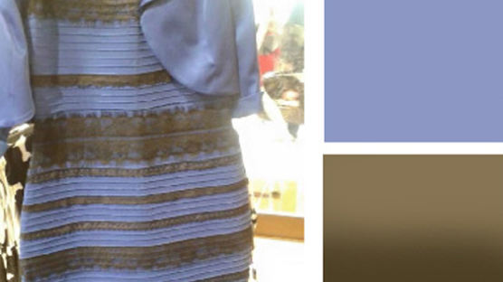 [문소영 문화트렌드] 드레스 색깔 논란 이면의 과학·인문학