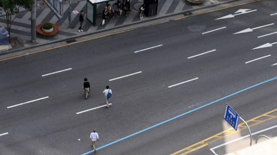 무단횡단 단속 강화, 서울시내 교통 사망사고 분석해보니…