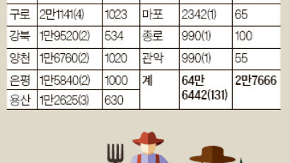 [통계로 본 강남] 서울 주말농장 면적 서초구 3위, 강남은 …