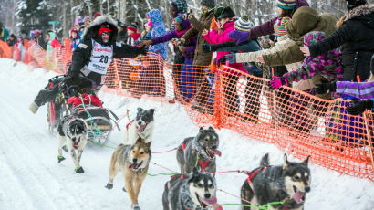 [사진] "달려라~ 달려" 눈밭 헤치며 달리는 개썰매 대회 