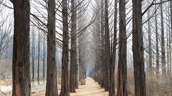 그 길 속 그 이야기〈59〉서울둘레길