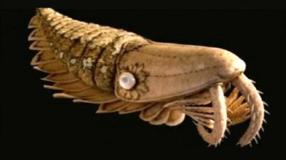 5억 년 전 바다 생명체 복원 '화제'…어마무시한 거대 새우, 얼마나 클까?
