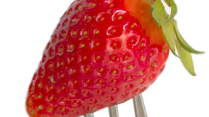 딸기 효능, 피부 미용에서 골다공증 예방까지…1회 섭취 적당량은?
