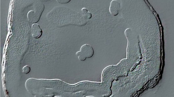 오로라 영상 포착…나사(NASA), 화성에서 스마일 표식 발견해…
