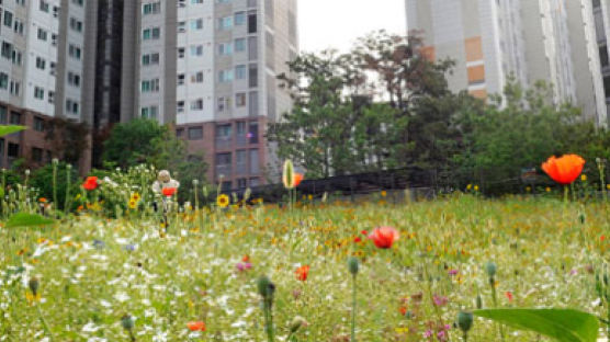 쓰레기로 덮여있던 자투리 땅 활용 … 서울 주택가 숲·공원 524곳 만든다