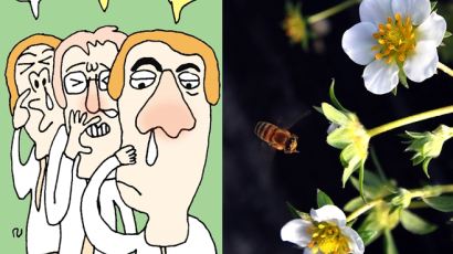 꽃가루 위험예보, '코막힘' 치료법? 코가 막히면 얼굴까지 변한다