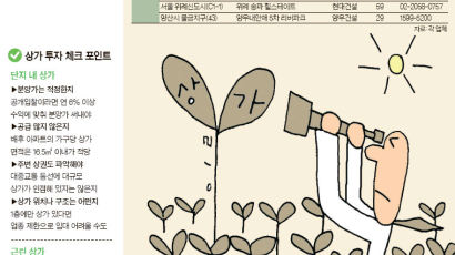 위례·동탄2·한강·광교 … 신도시 상가 분양 봄바람 솔솔~