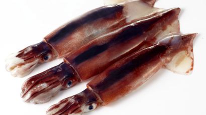 오징어 응용 위장술 연구 개발 중, 오징어 먹물 쏘듯 적외선 카메라 깜쪽같이…