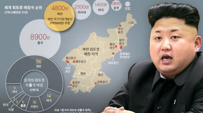 [고수석의 대동강 생생 토크] 희토류로 몸값 올린 북한, 중·일 사이서 '외교 줄타기'