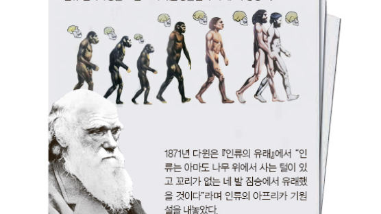 [과학 NIE] 인류의 진화 … 인간이 원숭이보다 우월할까