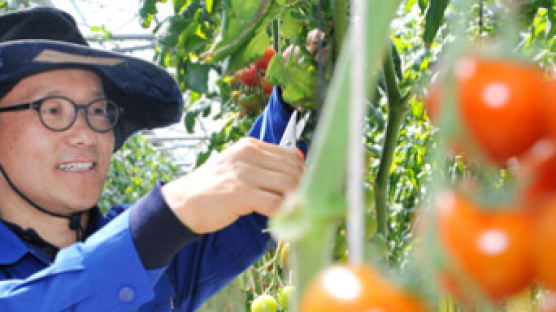 [2015 챌린저 & 체인저] 빨·주·녹·분홍 토마토 … 50억 매출 일군 색다른 농부