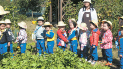 108만 명, 잿빛 도시에서 치유의 초록빛 키운다