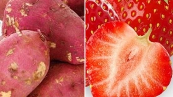 포만감 높은 식품은 딸기·고구마…포만감 느끼는 방법은 따로 있다?