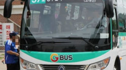 동네 달리는 중국산 버스 급증 … 전국에 500대