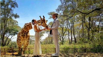 전 세계 38개국에서 결혼사진을 찍은 '곡예사 커플'