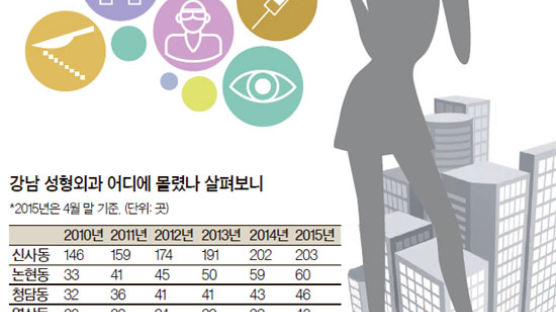 [통계로 본 강남] 강남 성형외과 5년 새 120개 늘어 355개 