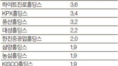 잇단 인수합병 … 매력 큰 지주사 투자