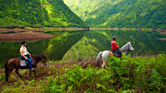 [Travel Gallery] 레위니옹, 원시의 자연을 걷다