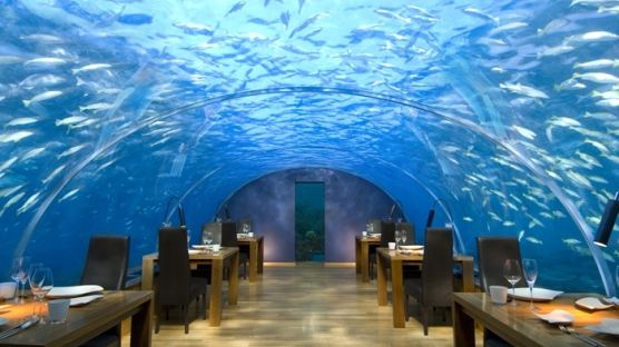 세계 최초 바닷속 레스토랑, 가장 명당 자리는…