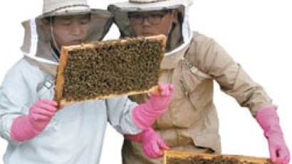 꿀맛 우정 키웁니다, 탈북·남한 청년들