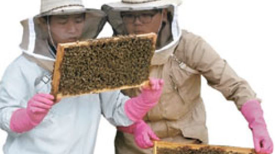 꿀맛 우정 키웁니다, 탈북·남한 청년들