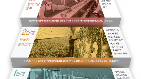 좋은 채소·과일, 남한 기술로 북한서 생산해 중국에 팔자