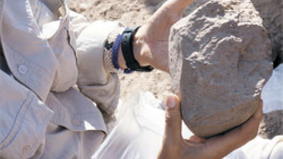 호모 하빌리스보다 70만 년 앞선 석기 발견