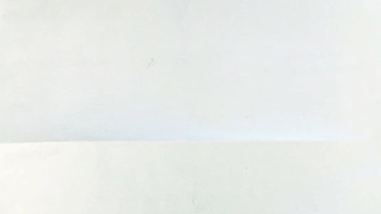 서울여대 학보사, 학보 1면 백지 발행한 이유는?…"편집권은 누구도 침해할 수 없어" 