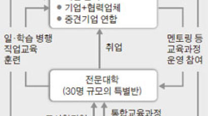 고교~대학~취업 5년 ‘논스톱 KTX 과정’