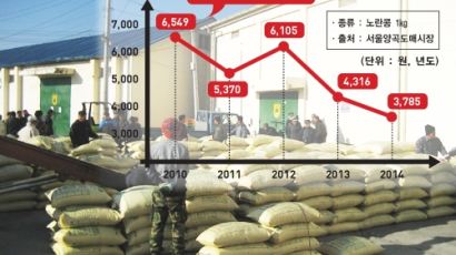 콩 가격 폭락해도 평년가의 80%는 건진다…농업수입보장보험 첫 출시 