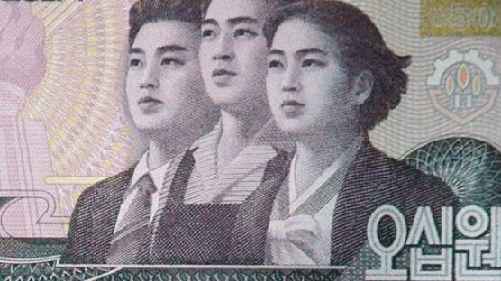 북한, '돈주' 고위간부들 부인들 시켜 '환장사'…'하이 리스크 하이 리턴' 북한
