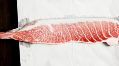 참다랑어의 특징, 즐겨 먹는 참치가 바로 다랑어…칼로리·지방 적고 영양 풍부