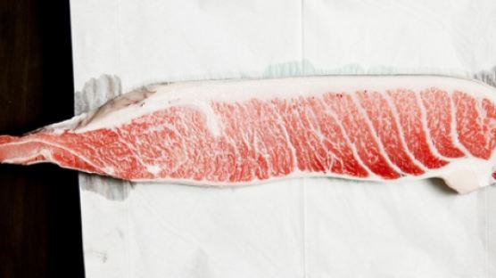 참다랑어의 특징, 즐겨 먹는 참치가 바로 다랑어…칼로리·지방 적고 영양 풍부