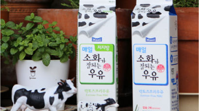 우유만 마시면 아픈 배 나도 혹시 유당불내증? 우유 배탈 해결해주는 ‘매일 소화가 잘 되는 우유’