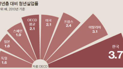 [오늘의 데이터 뉴스] 한국 청년 실업률, 장년층의 3.7배