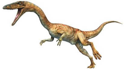 [이정모의 자연사 이야기] 공룡의 등장으로 위기에 처했던 포유류, 야간 활동으로 살아남아 