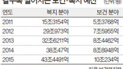 “독립할 보건부에 각 부처 흩어진 관련 업무 모아줘야”