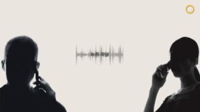 보이스피싱… ‘그놈 목소리’ 이어 ‘그녀 목소리’ 공개 