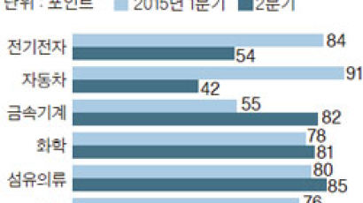 지갑 닫는 중국 … 자동차·전자 “힘들다”