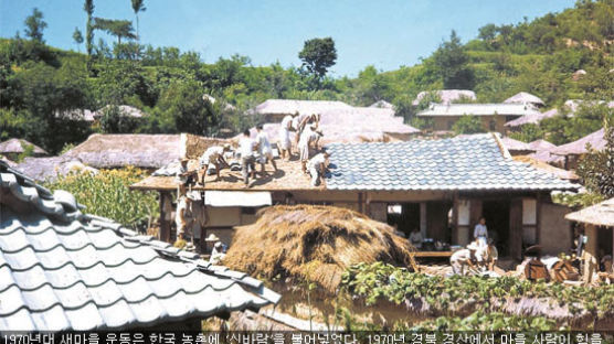 [뉴스클립] 뉴스 인 뉴스 한국 농업 70년