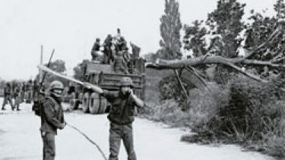 군, DMZ서 ‘제2 미루나무 제거’ 작전